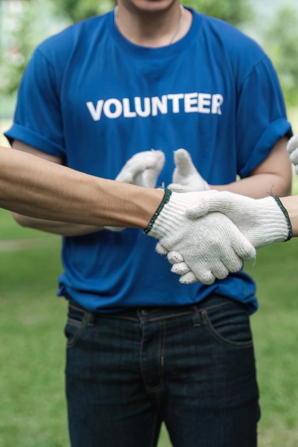 Environmentalist volunteers planting new tree and handshaking